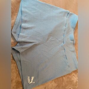 Puma Sky Blue Ribbed Shorts